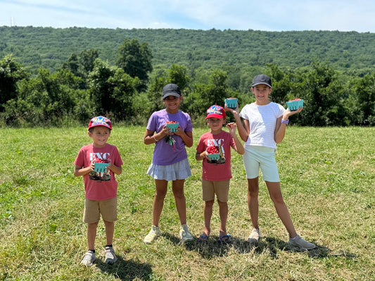 Berry Bliss: Raspberry Picking at Lyman Orchards